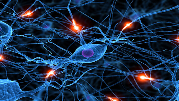 historia de la neurociencia